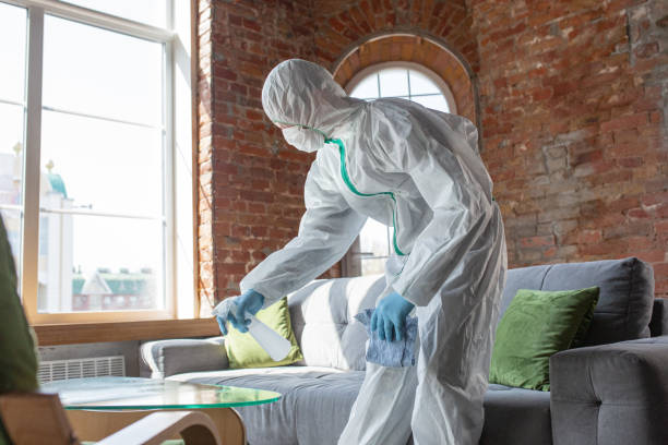 Cranston, RI Mold Removal & Remediation Company